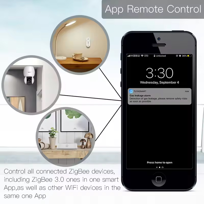 Moes Tuya ZigBee 3.0 Smart Gat - огляд і ціна Smart Home Dashboard