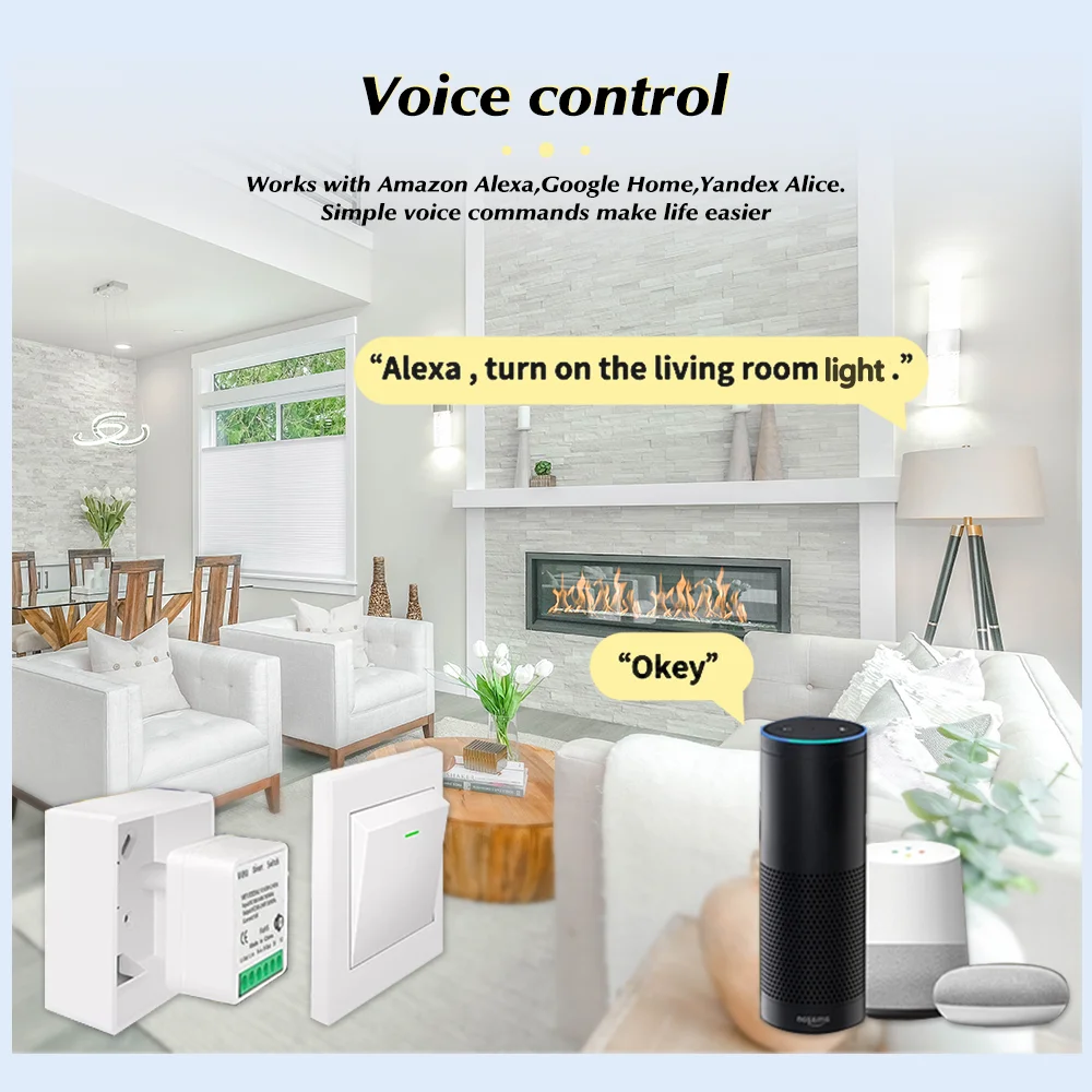 For Tuya Mini Smart WiFi Switc - огляд і ціна Smart Home Google