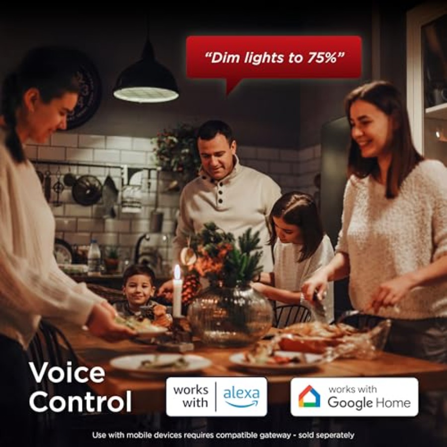 Z-Wave Plus Long Range in-Wall - огляд і ціна Smart Home Plus