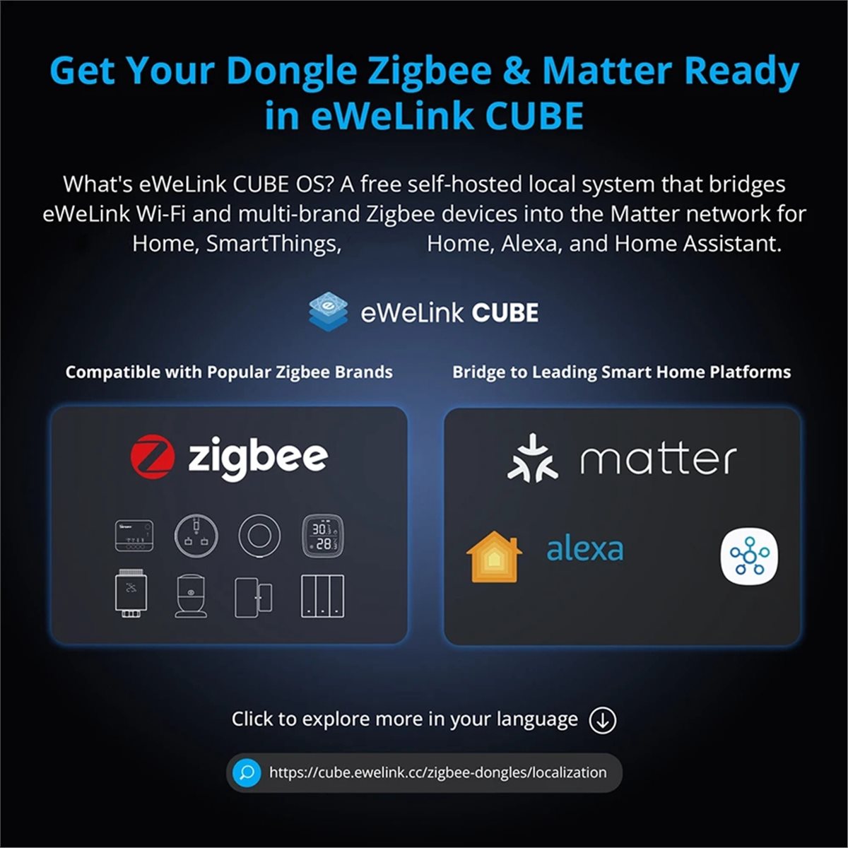 Dongle Plus MG24 Zigbee Thread - огляд і ціна Smart Home Plus